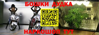 PSILOCYBIN Балахна